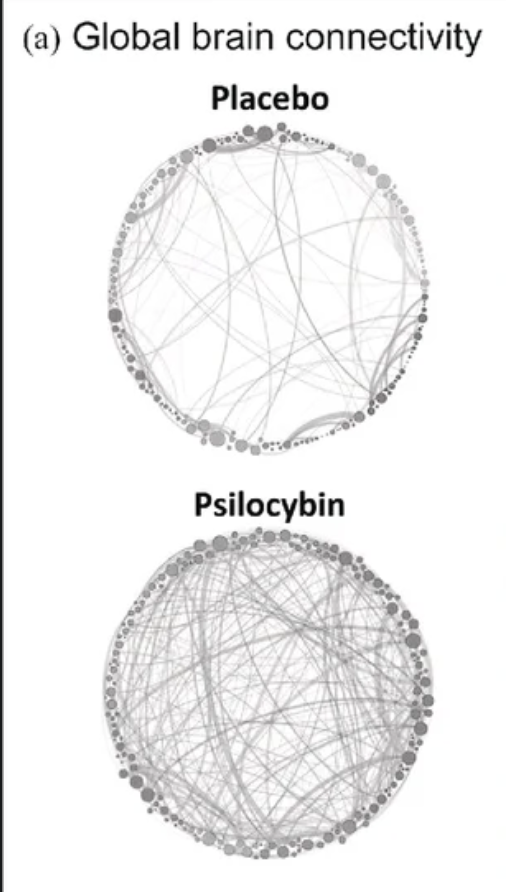 Brain regions communicating under psilocybin — increased cross-network connectivity